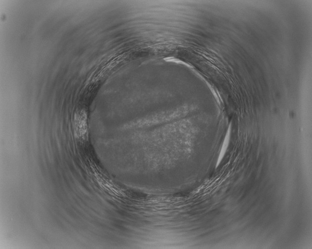 X0000058140963200510171358