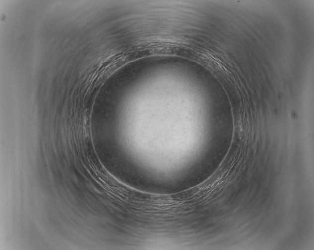 X0000058140964200510171358