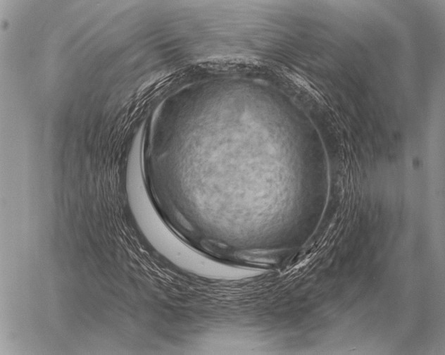 X0000058140965200510171358