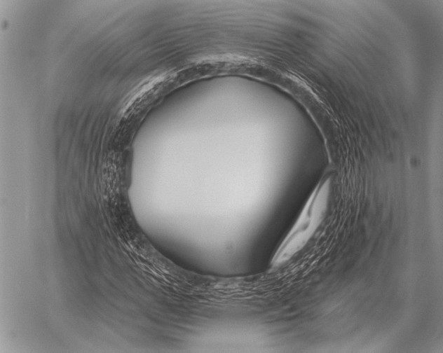 X0000058140967200510171358