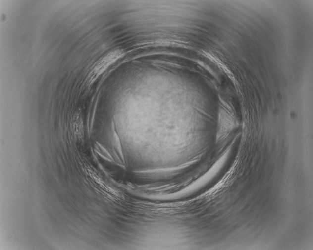X0000058140969200510171358