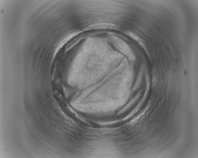 X0000058140973200510171358