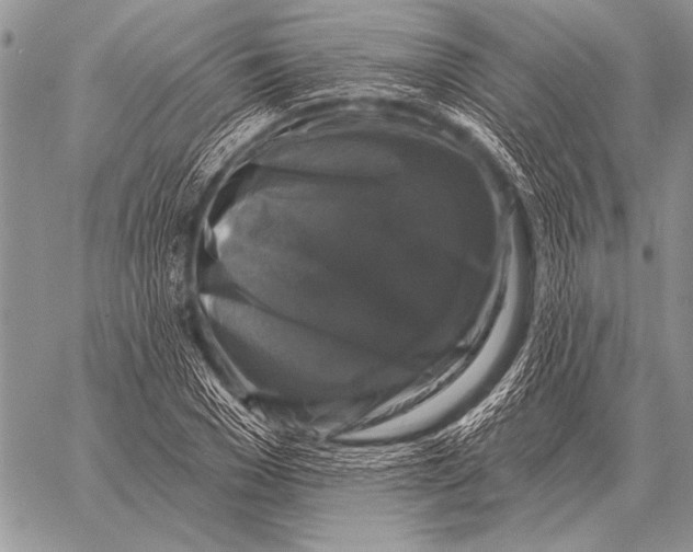 X0000058140977200510171358