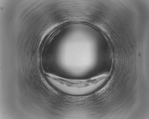 X0000058140981200510171358
