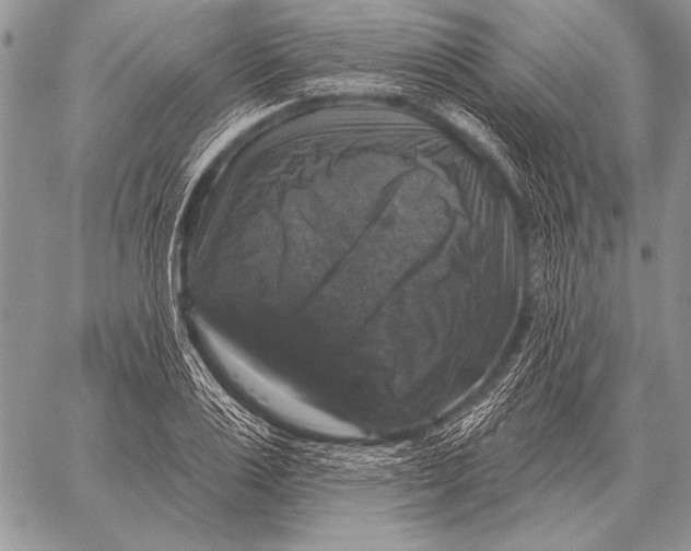 X0000058140983200510171358
