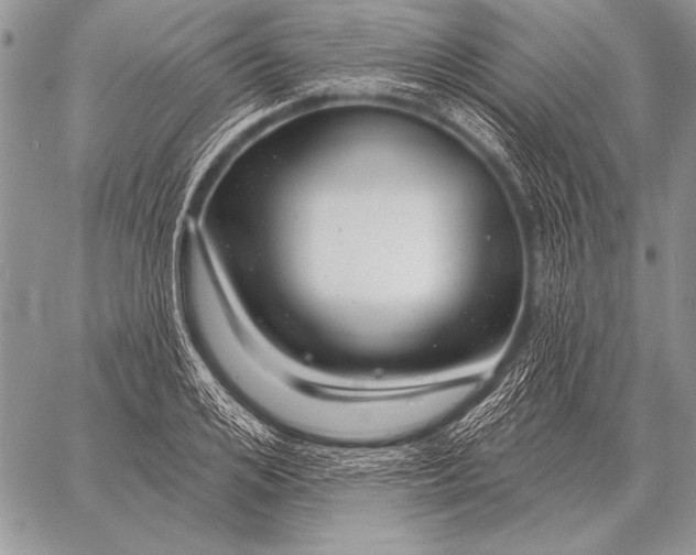 X0000058140984200510171358