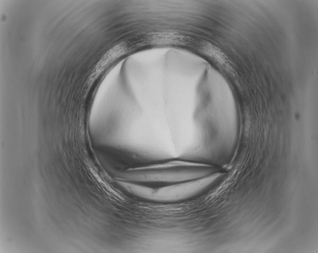 X0000058140986200510171358