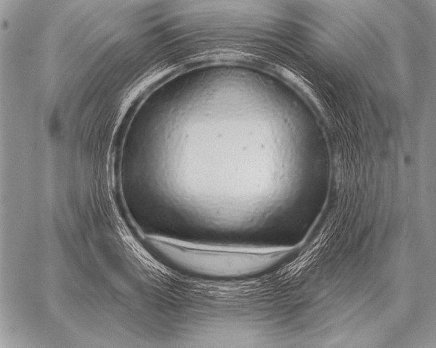 X0000058140987200510171357