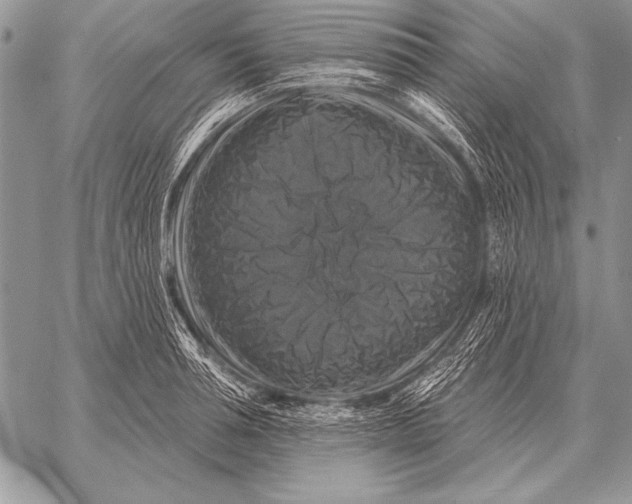 X0000058140994200510171357