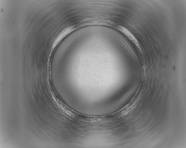 X0000058141002200510171357