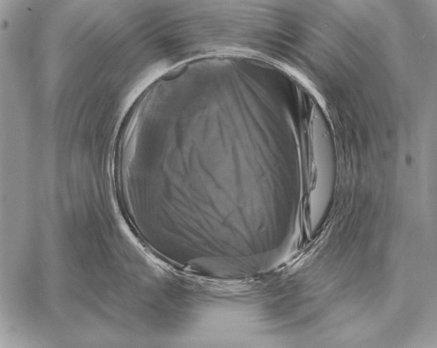 X0000058141007200510171357