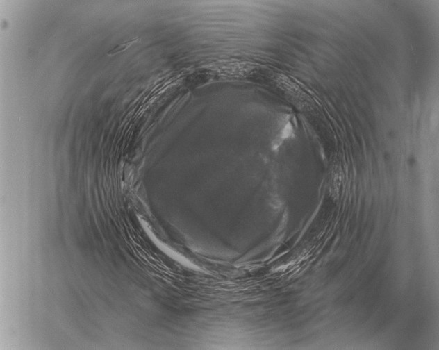 X0000058141010200510171356