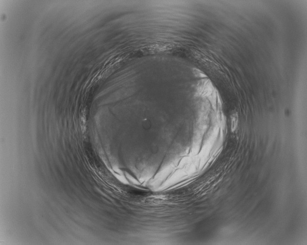 X0000058141011200510171356