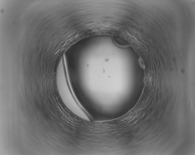 X0000058141012200510171356