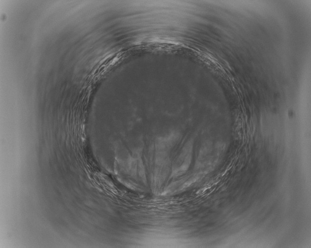 X0000058141013200510171356