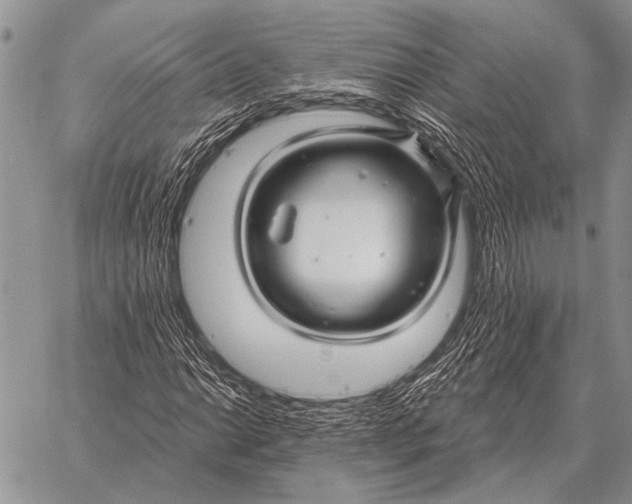X0000058141014200510171356
