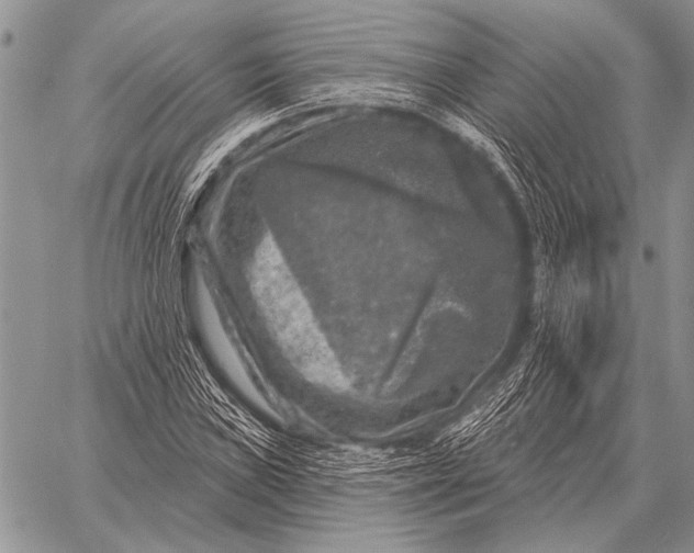 X0000058141019200510171356