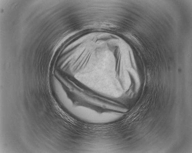 X0000058141020200510171357