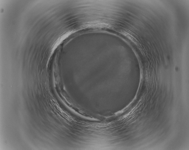 X0000058141022200510171357