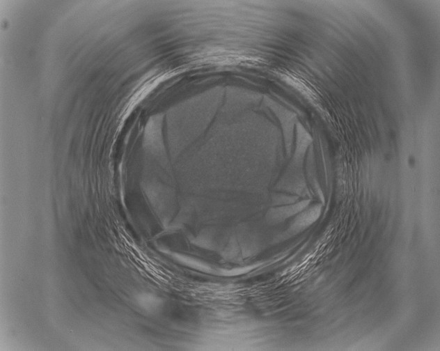 X0000058141023200510171357