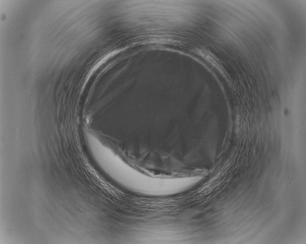 X0000058141024200510171357