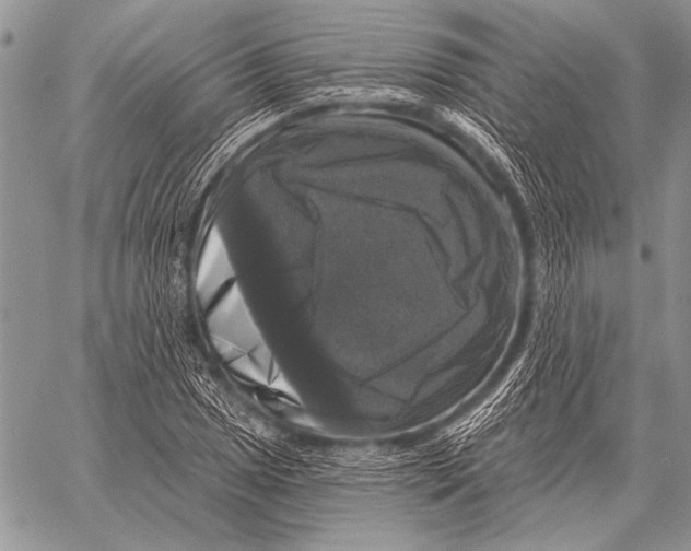 X0000058141025200510171357