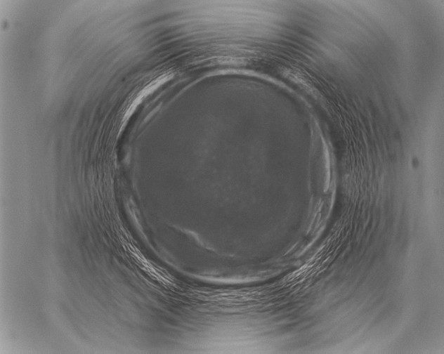 X0000058141026200510171357
