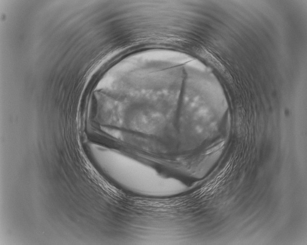 X0000058141028200510171357