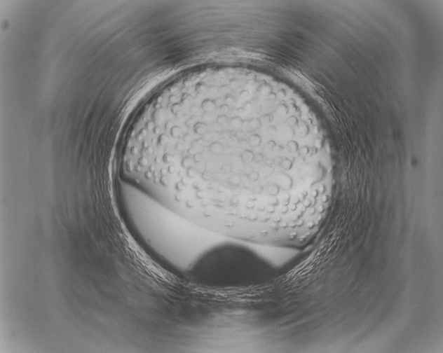X0000058141032200510171357