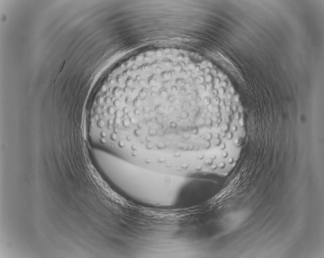 X0000058141036200510171357