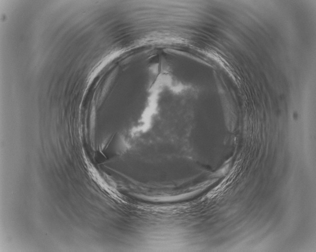 X0000058141038200510171357