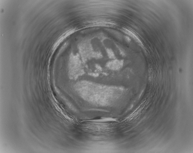 X0000058141043200510171357