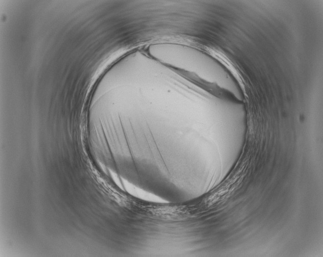 X0000058141048200510171357