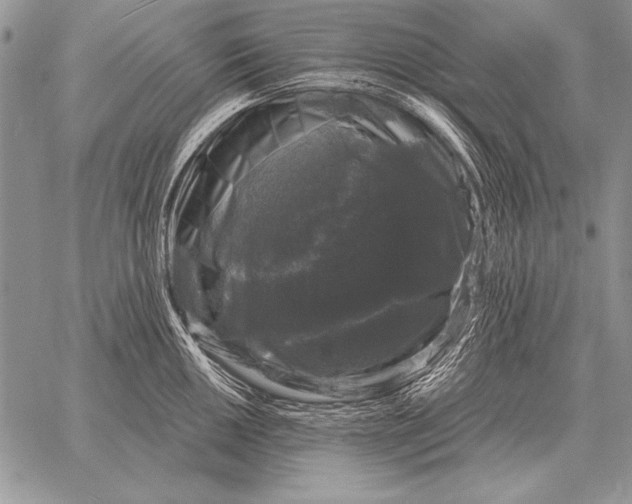 X0000058141050200510171357