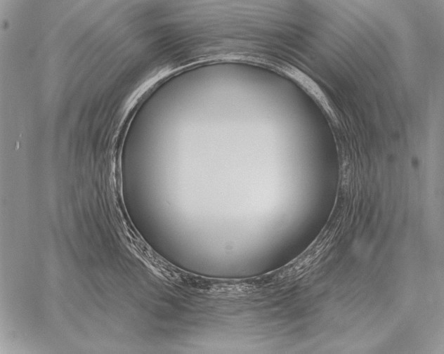 X0000058141051200510171357