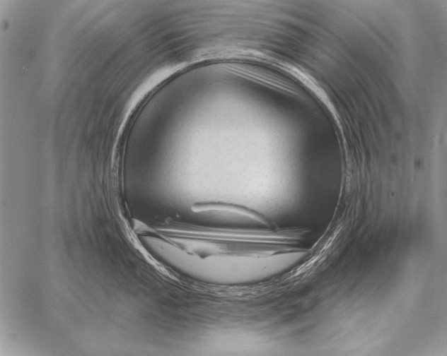 X0000058141053200510171357