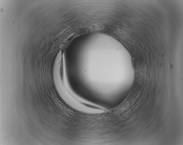 X0000058141058200510171356