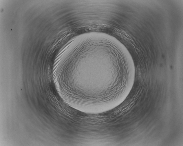 X0000058141060200510171356