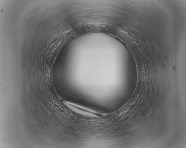 X0000058141061200510171356