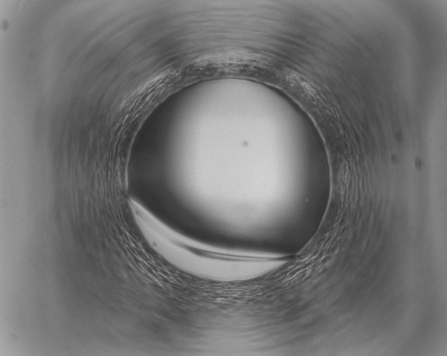 X0000058141062200510171356