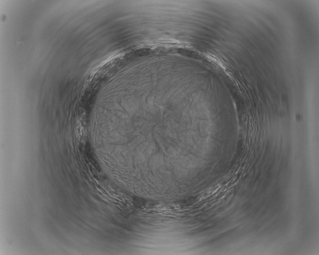 X0000058141063200510171356