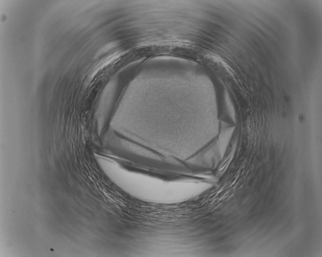 X0000058141064200510171356