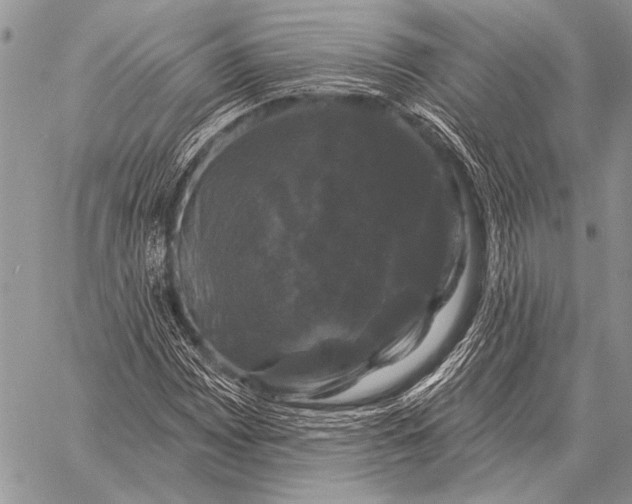 X0000058141065200510171356