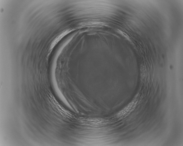 X0000058141066200510171356