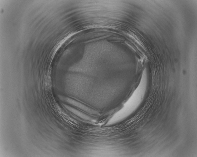 X0000058141068200510171356