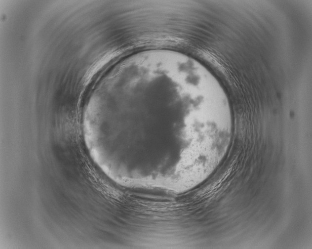 X0000058141071200510171356