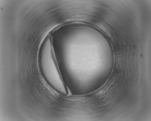 X0000058141076200510171356