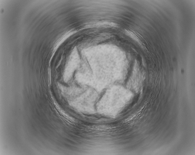 X0000058141079200510171356