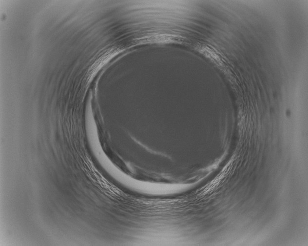 X0000058141081200510171356