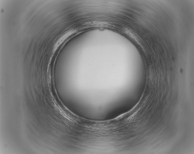 X0000058141082200510171356